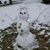 Glenda N Richard Fisher's profile image