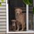 Peter Yaeger's profile image