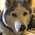 Mo Larmour's profile image