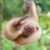 Joshua Michael Bensik's profile image