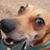 Laura Diane Simpson's profile image