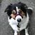 Kirsten Amundson's profile image
