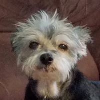 Kyle Roth's profile image