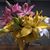Sandy Graham Gardner's profile image