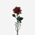 Candace McKoy's profile image