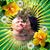 David Williams's profile image