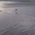 Mary Ann Balsamo's profile image