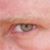 Joel Di Pietro's profile image