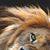Diana Hilsendeger's profile image