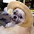 Hethyr Newton's profile image