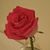 Sharon Kaufman's profile image