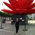 Judy Langberg's profile image