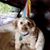 Carolan Batchelder's profile image