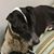 Angie Maria Guidry's profile image