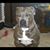 Kevin Wanser's profile image