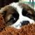 Janet Meppen's profile image