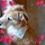 Kathy Kireta Runk's profile image