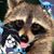 Daniel Frueh's profile image