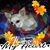 Linda Mamer Hallgren's profile image
