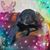 Samra Fae Harvey's profile image