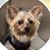 Renee N Kenny Henderson's profile image