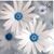 Courtney Samsel's profile image