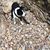 Michelle Beddoe's profile image
