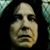 Susan Hollister's profile image