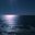 Vikki Suttles's profile image
