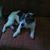 Leslie Shaffer's profile image