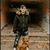 Laura Schroeder Moran's profile image
