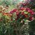 Debbie Talbert's profile image