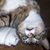 Mary Lou Ewasko's profile image