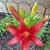 Nicole Silm-Baran's profile image