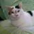 Joni Ott Kowalski's profile image