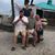 Patti Sands-Pelkey's profile image