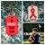 Melissa Schwarzlander's profile image