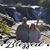 Brande Lions Reyer's profile image