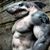 Joe Cuervo Garza's profile image