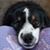 Cozette Martin Pettyjohn's profile image