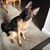 Lori Cone Stanton's profile image