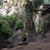 Sarah Jane Hickson's profile image