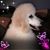 Jim Mc Kinney's profile image