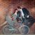 Jackie Caro's profile image