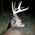 Greg Sturgill's profile image