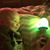 Belinda Fitzgerald's profile image