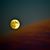 John Akins's profile image