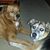 Stephanie Rabucha-Krawcheck's profile image