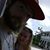 Christopher R Moistner's profile image