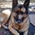 Brenda Greenleaf's profile image